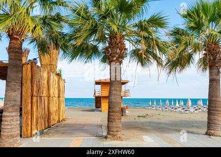 Mackenzie Beach in Larnaka von Zypern. Tropischer Strand mit Palmen Stockfoto