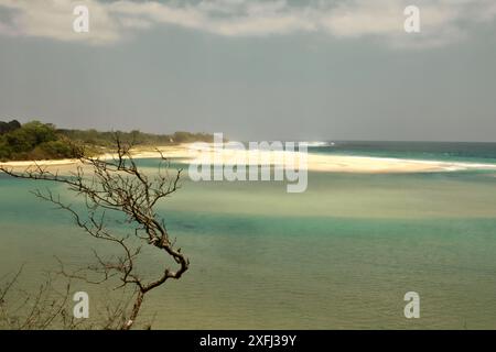 Ein trockener Baum im Hintergrund eines Sandstrandes im Dorf Ratenggaro, Südwesten Sumba, Ost-Nusa Tenggara, Indonesien. Stockfoto