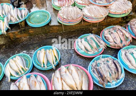 Frisch gefangener Fisch, Tintenfisch und Tintenfisch auf dem Fischmarkt. Frische Meeresfrüchte. Stockfoto