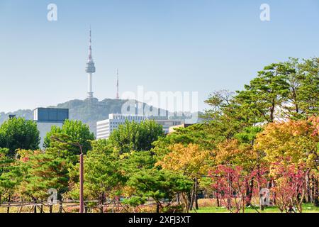 Malerischer farbenfroher Herbstpark in Seoul, Südkorea. Namsan Seoul Tower ist auf blauem Himmel zu sehen. Stockfoto