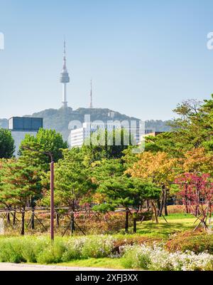 Malerischer farbenfroher Herbstpark in Seoul, Südkorea. Namsan Seoul Tower ist auf blauem Himmel zu sehen. Stockfoto