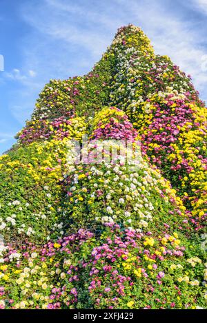 Wundervolle bunte Blumendekoration auf blauem Himmel Hintergrund. Wunderschöne Chrysanthemen in verschiedenen Farben. Stockfoto