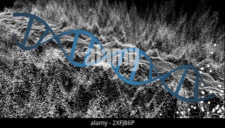 Bild eines weißen Netzes über dna-Strang auf schwarzem Hintergrund Stockfoto