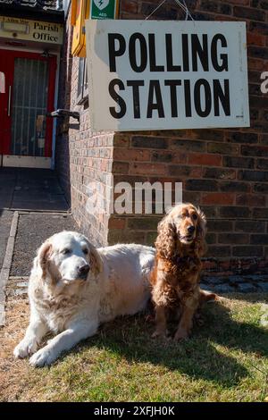 Datchet, Großbritannien. Juli 2024. Hunde auf dem Schullauf halten für ein Foto vor einer Wahlstation am Tag der Wahl im Dorf Datchet, Berkshire. Quelle: Maureen McLean/Alamy Live News Stockfoto