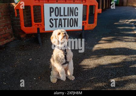 Eton Wick, Windsor, Großbritannien. 4. Juli 2024, Bobby the Cavapoo war heute früh auf einem Spaziergang und hielt an, um vor einer Wahlstation am Tag der Wahl im Dorf Eton Wick, Windsor, Berkshire, für ein Foto zu posieren. Quelle: Maureen McLean/Alamy Live News Stockfoto