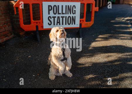 Eton Wick, Windsor, Großbritannien. 4. Juli 2024, Bobby the Cavapoo war heute früh auf einem Spaziergang und hielt an, um vor einer Wahlstation am Tag der Wahl im Dorf Eton Wick, Windsor, Berkshire, für ein Foto zu posieren. Quelle: Maureen McLean/Alamy Live News Stockfoto