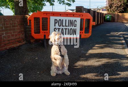 Eton Wick, Windsor, Großbritannien. 4. Juli 2024, Bobby the Cavapoo war heute früh auf einem Spaziergang und hielt an, um vor einer Wahlstation am Tag der Wahl im Dorf Eton Wick, Windsor, Berkshire, für ein Foto zu posieren. Quelle: Maureen McLean/Alamy Live News Stockfoto