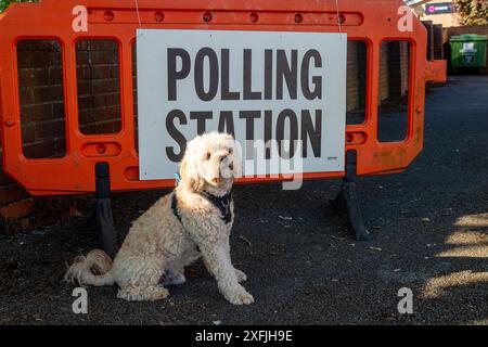 Eton Wick, Windsor, Großbritannien. 4. Juli 2024, Bobby the Cavapoo war heute früh auf einem Spaziergang und hielt an, um vor einer Wahlstation am Tag der Wahl im Dorf Eton Wick, Windsor, Berkshire, für ein Foto zu posieren. Quelle: Maureen McLean/Alamy Live News Stockfoto