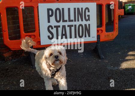 Eton Wick, Windsor, Großbritannien. 4. Juli 2024, Bobby the Cavapoo war heute früh auf einem Spaziergang und hielt an, um vor einer Wahlstation am Tag der Wahl im Dorf Eton Wick, Windsor, Berkshire, für ein Foto zu posieren. Quelle: Maureen McLean/Alamy Live News Stockfoto