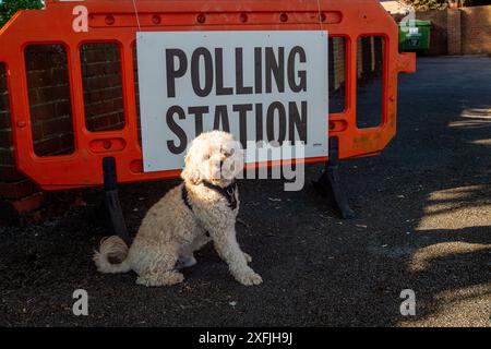 Eton Wick, Windsor, Großbritannien. 4. Juli 2024, Bobby the Cavapoo war heute früh auf einem Spaziergang und hielt an, um vor einer Wahlstation am Tag der Wahl im Dorf Eton Wick, Windsor, Berkshire, für ein Foto zu posieren. Quelle: Maureen McLean/Alamy Live News Stockfoto