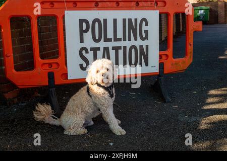 Eton Wick, Windsor, Großbritannien. 4. Juli 2024, Bobby the Cavapoo war heute früh auf einem Spaziergang und hielt an, um vor einer Wahlstation am Tag der Wahl im Dorf Eton Wick, Windsor, Berkshire, für ein Foto zu posieren. Quelle: Maureen McLean/Alamy Live News Stockfoto