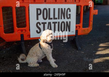 Eton Wick, Windsor, Großbritannien. 4. Juli 2024, Bobby the Cavapoo war heute früh auf einem Spaziergang und hielt an, um vor einer Wahlstation am Tag der Wahl im Dorf Eton Wick, Windsor, Berkshire, für ein Foto zu posieren. Quelle: Maureen McLean/Alamy Live News Stockfoto