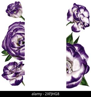 Doppelrahmen aus Eustoma, Lisianthus und Blauglockenblüten. Weiß und violett. Blätter und Knospen sind grün. Aquarellabbildung. Stockfoto