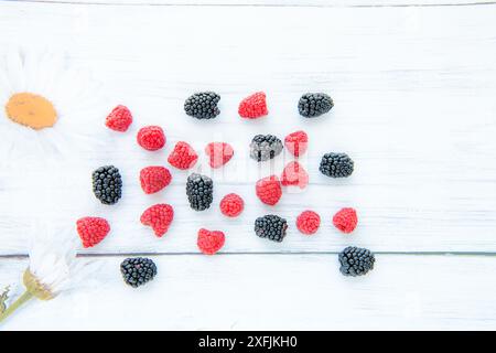 Himbeeren und Brombeeren mit Gänseblümchen auf weißem Holzhintergrund, Kopierraum für Text Stockfoto