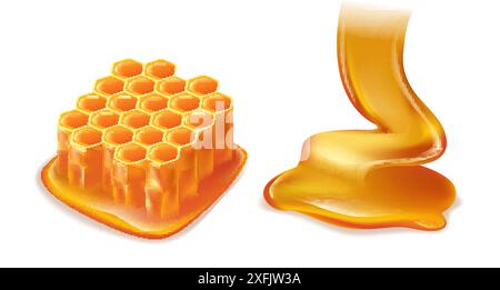 Süßer Honigkamm und fließender Honig auf weißem Hintergrund, realistische Vektor-Illustration Nahaufnahme Stock Vektor