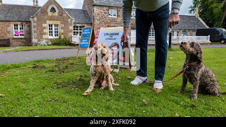 East Lothian, Schottland, Vereinigtes Königreich, 4. Juli 2024. Hunde an Polling Places: Die Tradition der Hundefotografie beginnt mit dem Wahltag. Im Bild: Ralph und Toby, Kakapus, im Rathaus in Dirleton. Quelle: Sally Anderson/Alamy Live News Stockfoto