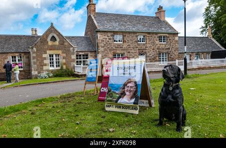 East Lothian, Schottland, Vereinigtes Königreich, 4. Juli 2024. Hunde an Polling Places: Die Tradition der Hundefotografie beginnt mit dem Wahltag. Im Bild: Labrador Cuillin im Rathaus in Dirleton. Quelle: Sally Anderson/Alamy Live News Stockfoto