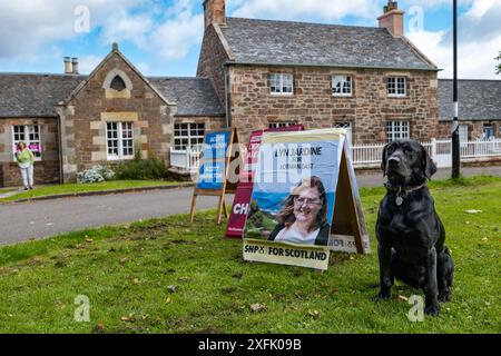 East Lothian, Schottland, Vereinigtes Königreich, 4. Juli 2024. Hunde an Polling Places: Die Tradition der Hundefotografie beginnt mit dem Wahltag. Im Bild: Labrador Cuillin im Rathaus in Dirleton. Quelle: Sally Anderson/Alamy Live News Stockfoto