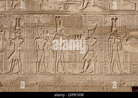 Außenwände am Tempel von Khnum in Esna, Ägypten Stockfoto