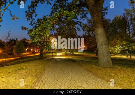 Ein kopfsteingepflasterter Pfad schlängelt sich nachts durch die beleuchteten Letna-Gärten in Prag, vorbei an hohen Bäumen und leuchtenden Straßenlaternen. Stockfoto