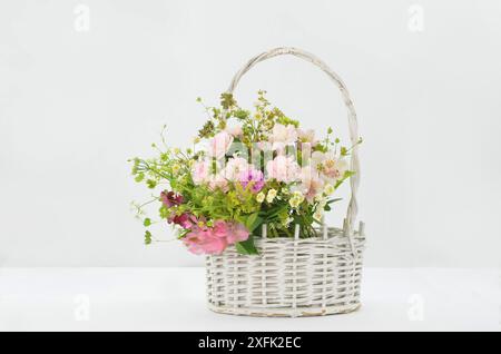 Wilde rosa und weiße zarte Blumen in einem weißen Korb auf hellem Hintergrund. Stockfoto