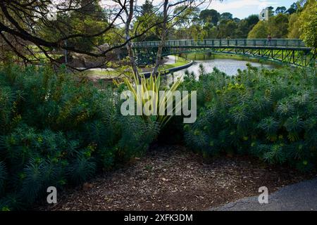 Alte Brücke über den Fluss Torrens in Adelaide Stockfoto