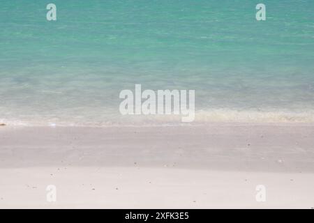 Socotra Island faszinierende Natur, Landschaft und seltene und einzigartige botanische Arten. Wilde Fauna und Flora mit wunderschönen Stränden und Schluchten Stockfoto