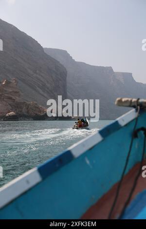 Socotra Island faszinierende Natur, Landschaft und seltene und einzigartige botanische Arten. Wilde Fauna und Flora mit wunderschönen Stränden und Schluchten Stockfoto