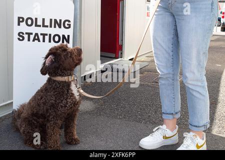 Maidenhead, Berkshire, Großbritannien. Juli 2024. Barney A Cockapoo sitzt vor der Polling Station am St. Mark's Hospital in Maidenhead, Berkshire, am Tag der Wahl. Quelle: Maureen McLean/Alamy Live News Stockfoto