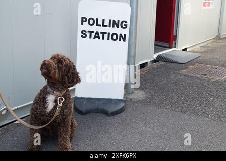 Maidenhead, Berkshire, Großbritannien. Juli 2024. Barney A Cockapoo sitzt vor der Polling Station am St. Mark's Hospital in Maidenhead, Berkshire, am Tag der Wahl. Quelle: Maureen McLean/Alamy Live News Stockfoto