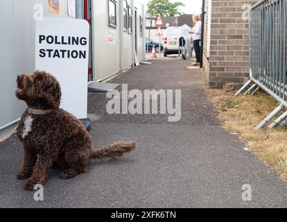 Maidenhead, Berkshire, Großbritannien. Juli 2024. Barney A Cockapoo sitzt vor der Polling Station am St. Mark's Hospital in Maidenhead, Berkshire, am Tag der Wahl. Quelle: Maureen McLean/Alamy Live News Stockfoto