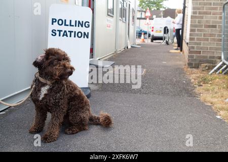 Maidenhead, Berkshire, Großbritannien. Juli 2024. Barney A Cockapoo sitzt vor der Polling Station am St. Mark's Hospital in Maidenhead, Berkshire, am Tag der Wahl. Quelle: Maureen McLean/Alamy Live News Stockfoto