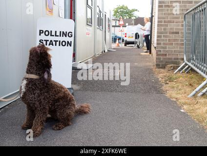 Maidenhead, Berkshire, Großbritannien. Juli 2024. Barney A Cockapoo sitzt vor der Polling Station am St. Mark's Hospital in Maidenhead, Berkshire, am Tag der Wahl. Quelle: Maureen McLean/Alamy Live News Stockfoto