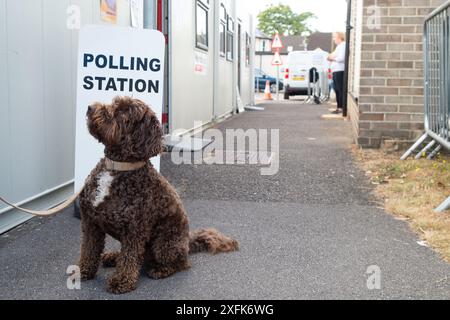 Maidenhead, Berkshire, Großbritannien. Juli 2024. Barney A Cockapoo sitzt vor der Polling Station am St. Mark's Hospital in Maidenhead, Berkshire, am Tag der Wahl. Quelle: Maureen McLean/Alamy Live News Stockfoto