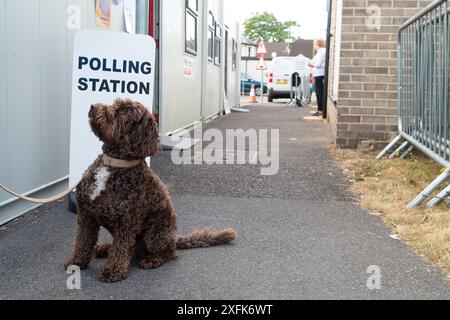 Maidenhead, Berkshire, Großbritannien. Juli 2024. Barney A Cockapoo sitzt vor der Polling Station am St. Mark's Hospital in Maidenhead, Berkshire, am Tag der Wahl. Quelle: Maureen McLean/Alamy Live News Stockfoto