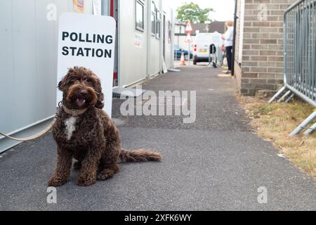 Maidenhead, Berkshire, Großbritannien. Juli 2024. Barney A Cockapoo sitzt vor der Polling Station am St. Mark's Hospital in Maidenhead, Berkshire, am Tag der Wahl. Quelle: Maureen McLean/Alamy Live News Stockfoto