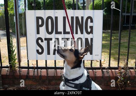 Maidenhead, Berkshire, Großbritannien. Juli 2024. Der Rettungshund Indy wartet geduldig auf eine Leckerei vor der Polling Station im St. Mark's Hospital in Maidenhead, Berkshire am Tag der Wahl. Quelle: Maureen McLean/Alamy Live News Stockfoto