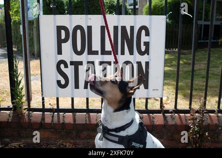 Maidenhead, Berkshire, Großbritannien. Juli 2024. Der Rettungshund Indy wartet geduldig auf eine Leckerei vor der Polling Station im St. Mark's Hospital in Maidenhead, Berkshire am Tag der Wahl. Quelle: Maureen McLean/Alamy Live News Stockfoto