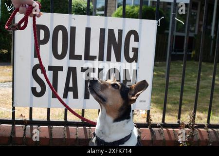 Maidenhead, Berkshire, Großbritannien. Juli 2024. Der Rettungshund Indy wartet geduldig auf eine Leckerei vor der Polling Station im St. Mark's Hospital in Maidenhead, Berkshire am Tag der Wahl. Quelle: Maureen McLean/Alamy Live News Stockfoto