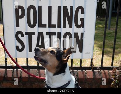 Maidenhead, Berkshire, Großbritannien. Juli 2024. Der Rettungshund Indy wartet geduldig auf eine Leckerei vor der Polling Station im St. Mark's Hospital in Maidenhead, Berkshire am Tag der Wahl. Quelle: Maureen McLean/Alamy Live News Stockfoto