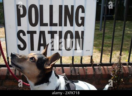 Maidenhead, Berkshire, Großbritannien. Juli 2024. Der Rettungshund Indy wartet geduldig auf eine Leckerei vor der Polling Station im St. Mark's Hospital in Maidenhead, Berkshire am Tag der Wahl. Quelle: Maureen McLean/Alamy Live News Stockfoto