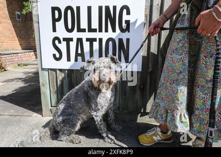 London, Großbritannien. Juli 2024. Ein grauer Schnauzer posiert mit dem Wahlkampfschild in einer Wahlstation in der Nähe von Kentish Tow mit seinem Besitzer auf dem Weg zur Wahl. Quelle: Imageplotter/Alamy Live News Stockfoto