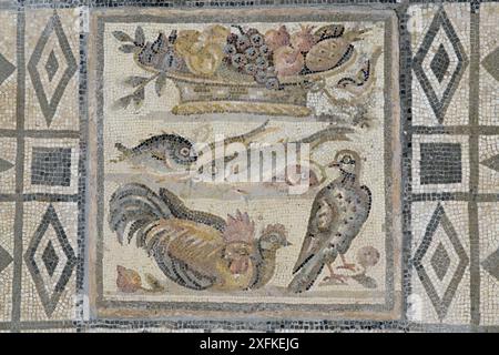 Bodenmosaik mit Vögeln, Fisch und Obstkorb. Opus vermiculatum, römisches Kunstwerk vom Ende des 1. Jahrhunderts v. Chr./Anfang des 1. Jahrhunderts n. Chr. Stockfoto