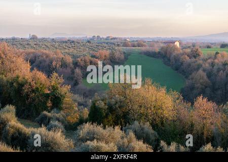 Blick auf das Aniene-Tal von Hadrians Villa (Villa Adriana; Villa Hadriana) Villa des Kaisers Hadrian nahe Tivoli außerhalb von Rom, Italien. Stockfoto