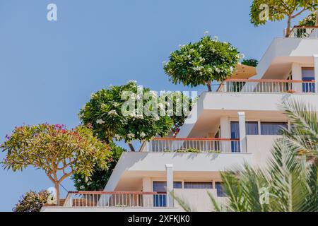 Das Dan Hotel in Eilat, Israel, ist ein Luxushotel an der Küste des Roten Meeres. Bäume auf Balkonen. Städtisches umweltfreundliches Konzept Stockfoto