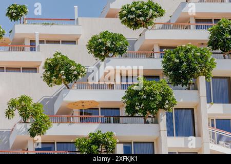 Das Dan Hotel in Eilat, Israel, ist ein Luxushotel an der Küste des Roten Meeres. Bäume auf Balkonen. Städtisches umweltfreundliches Konzept Stockfoto