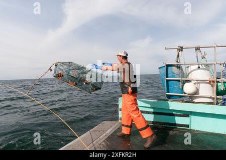 Lobsterman setzt Fallen für amerikanische Hummer (Homarus americanus) Portland, Maine, USA Oktober. Modell freigegeben. Stockfoto