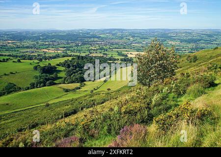 Blick über das Tal von Clwyd aus der Offa's Dyke Path führt auf den Gipfel des Moel Famau in der Clwydian Hügel mit der Stadt Stockfoto