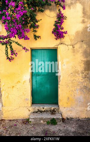 Typisch süditalienische Tür mit Blumen. Stockfoto