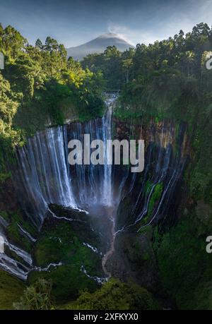 Blick von oben auf den Tumpak Sewu Wasserfall in Malang, Ost-Java, Indonesien Stockfoto